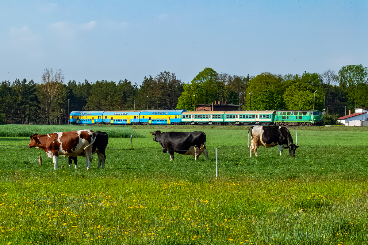 SU45-247: Nowy Solec