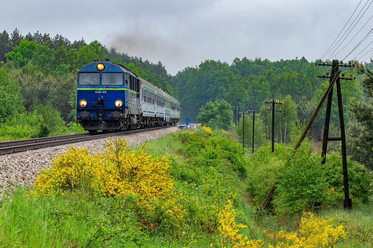 SU46-031: Budy Głogowskie