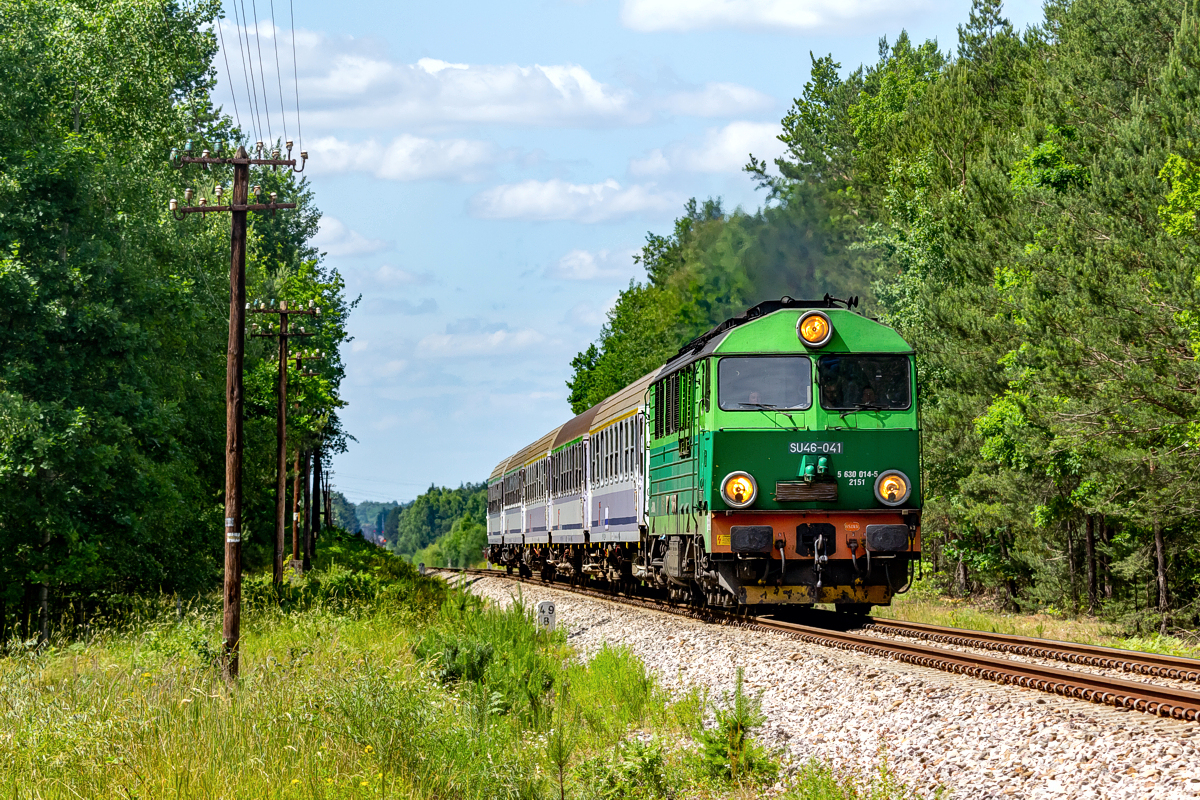 SU46-041: Widełka - Budy Głogowskie