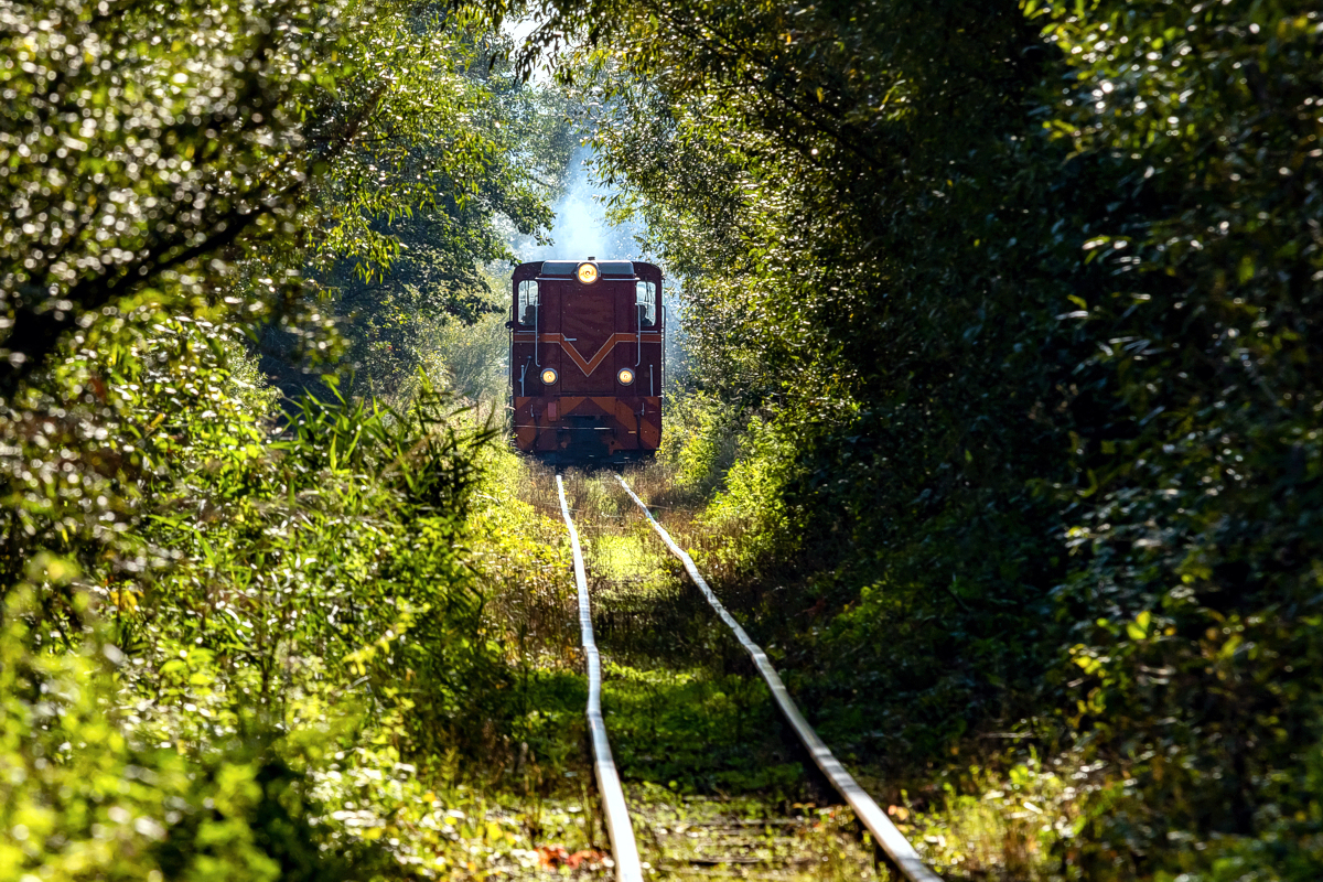 Lxd2-333: Pińczów - Umianowice