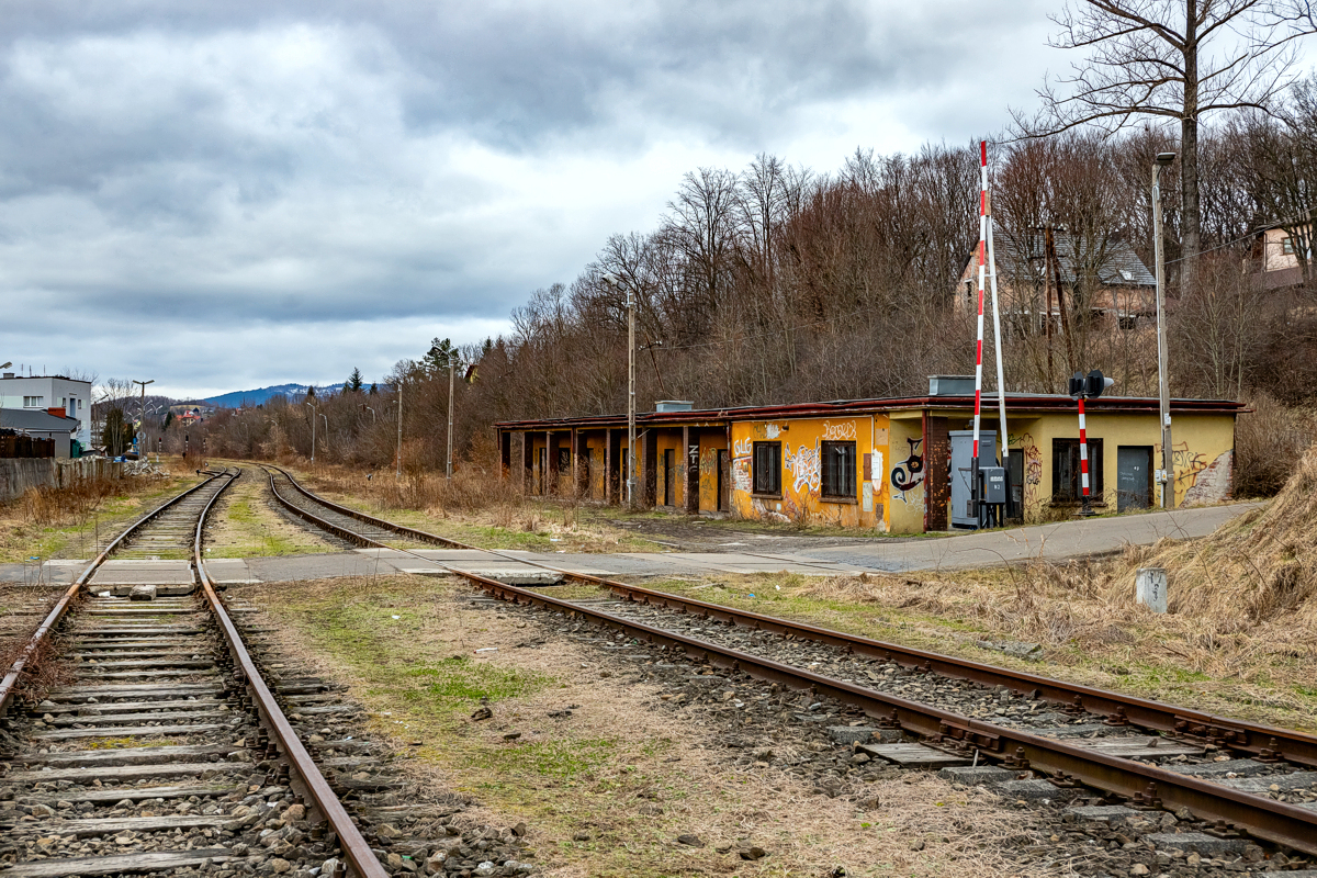 Limanowa - 03.02.2024