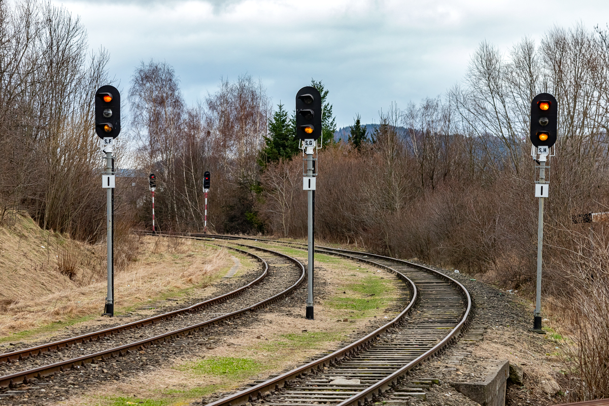 Limanowa - 03.02.2024