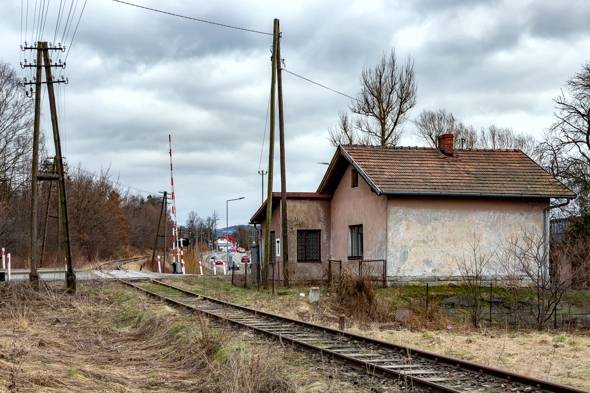 Limanowa - Łososina Górna, dróżnik - 03.02.2024