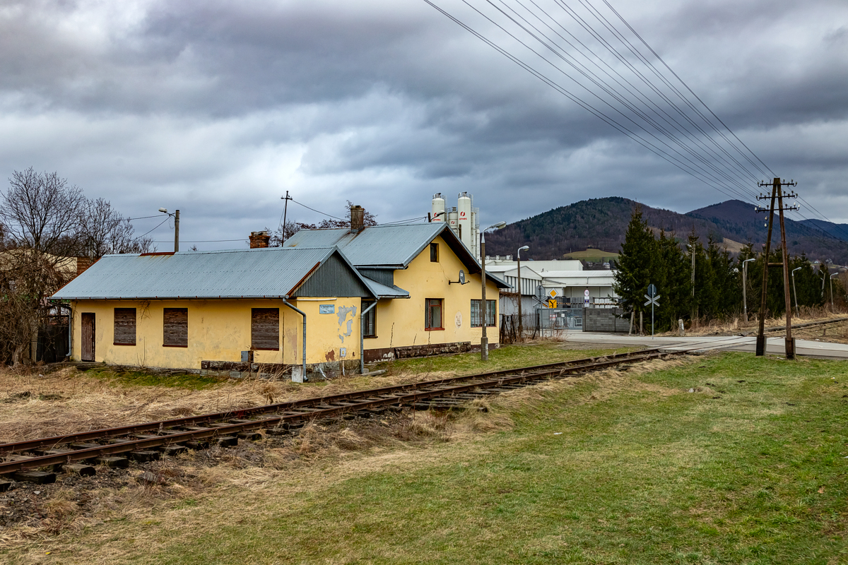 Łososina Górna - 03.02.2024