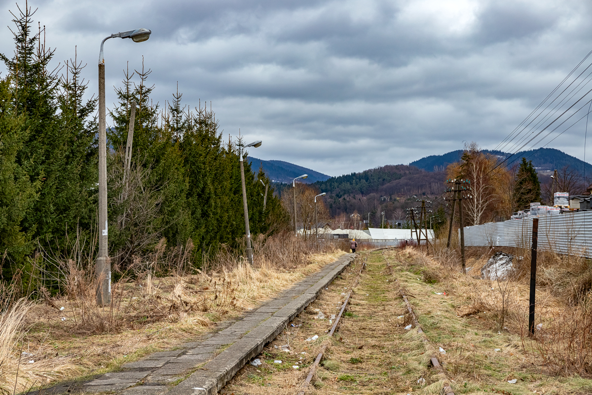 Łososina Górna - 03.02.2024