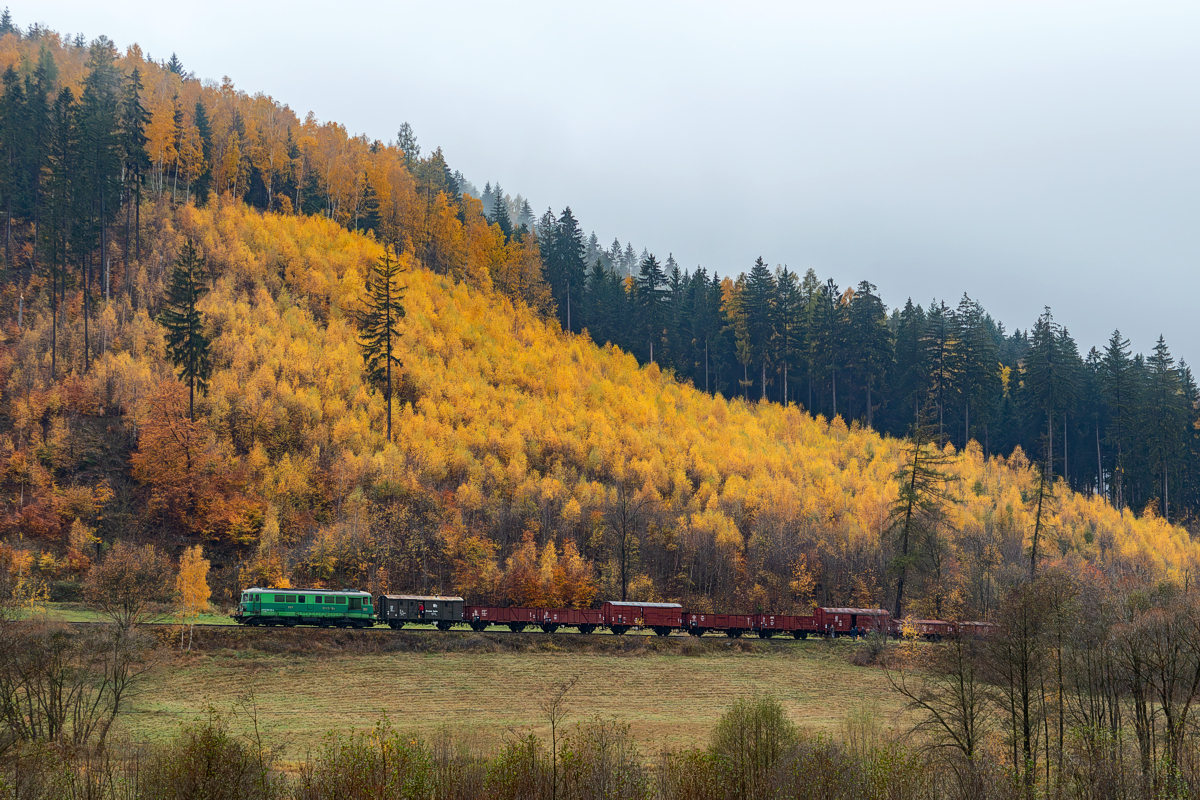 ST43-355: Wojcieszów Górny - Kaczorów