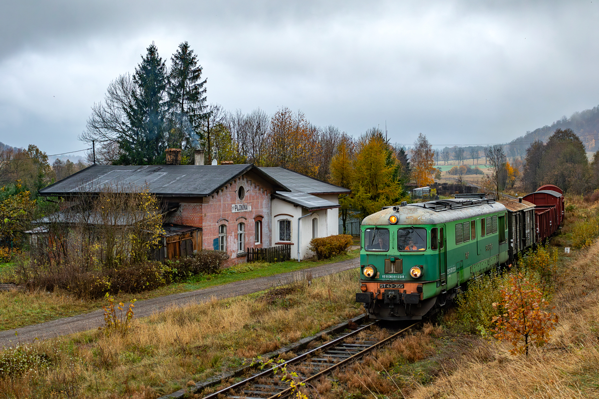 ST43-355: Płonina