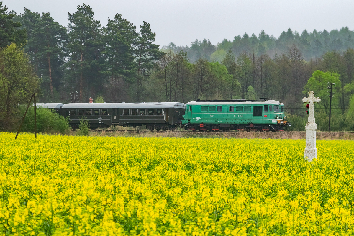 ST43-366: Werchrata - Dziewięcierz
