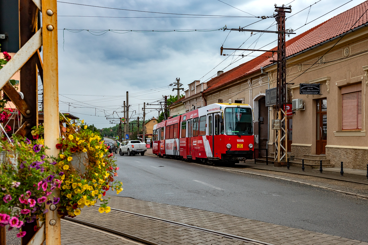 M8S #1006: Ghioroc, Strada Dr. Buta Augustin