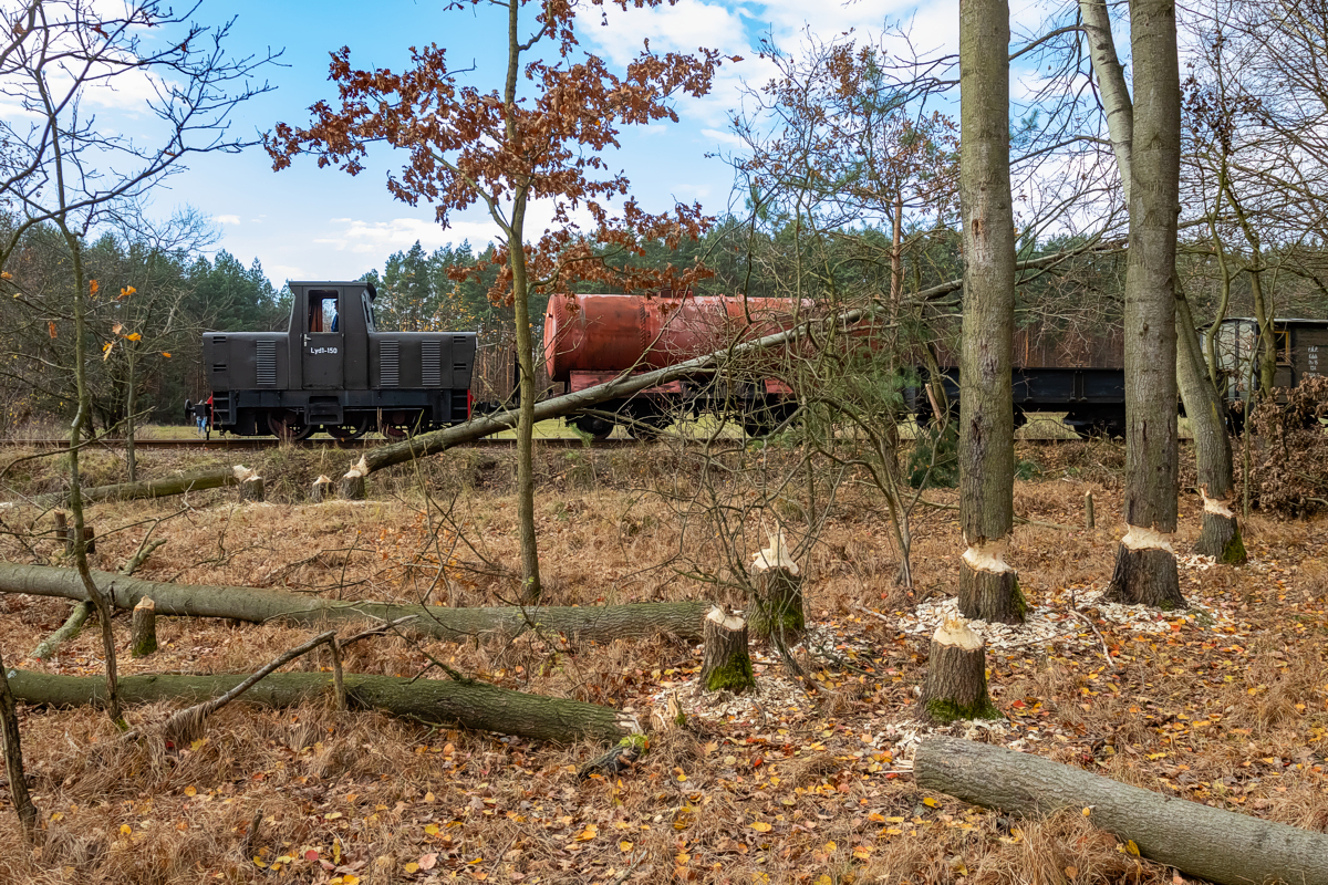 Lyd1-150: Stanica Wąskotorowa - Rudy