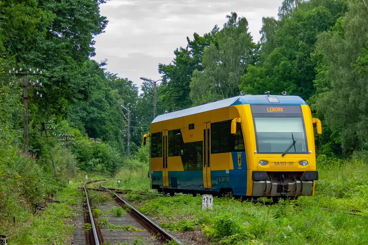 SA103-011: Wrzeście