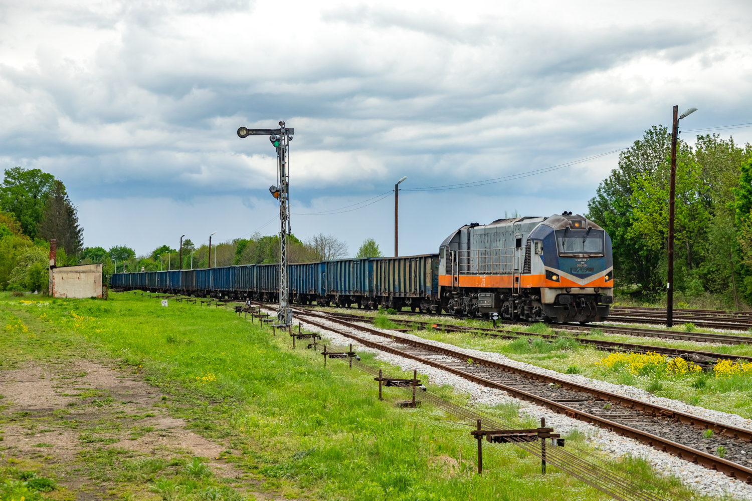 311D-09: Nowy Świętów