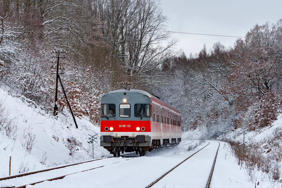 SA110-02+05: Wiewiecko