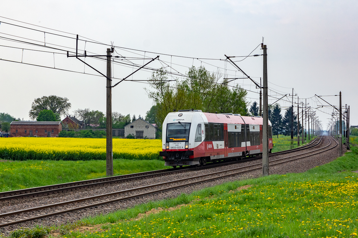 SA133-022: Kowalewo Pomorskie - Zieleń