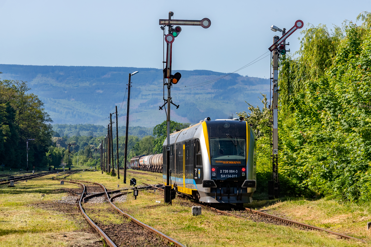 SA134-011: Głuchołazy