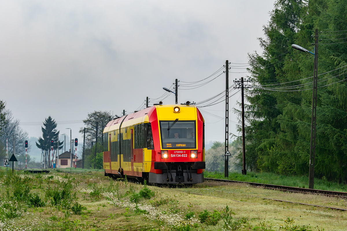 SA134-022: Tarnowiec