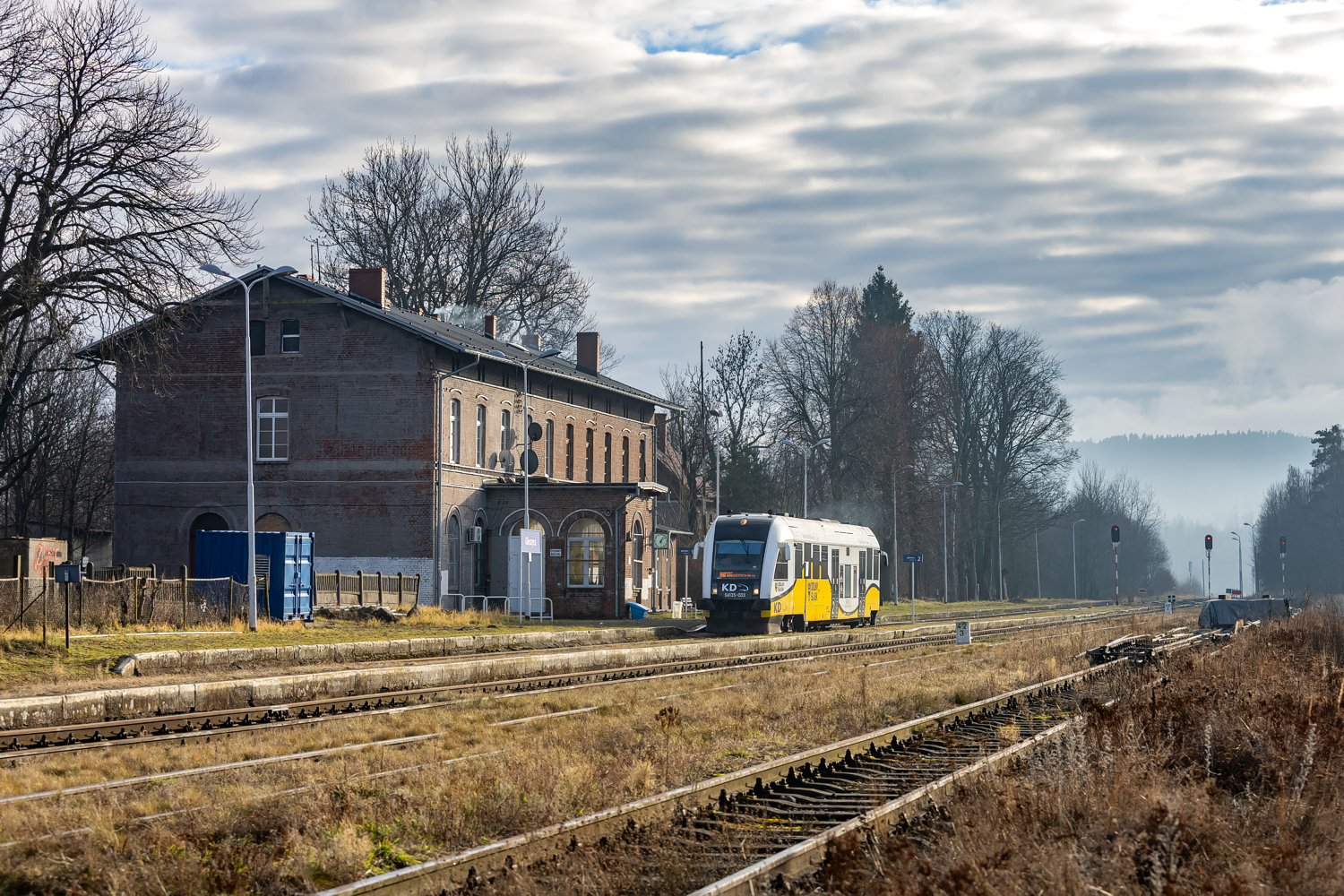 SA135-003: Głuszyca