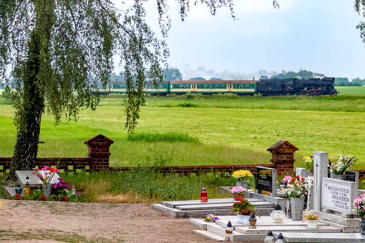 Ol49-111: Granowo Nowotomyskie