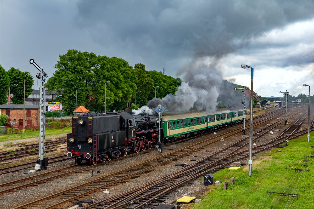 Ol49-69: Złocieniec