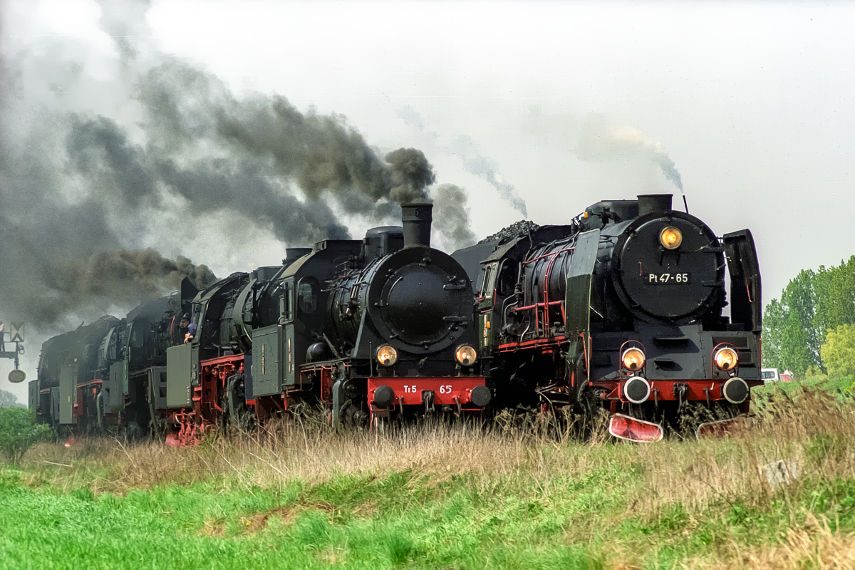 Pt47-65, Tr5-65: Wolsztyn