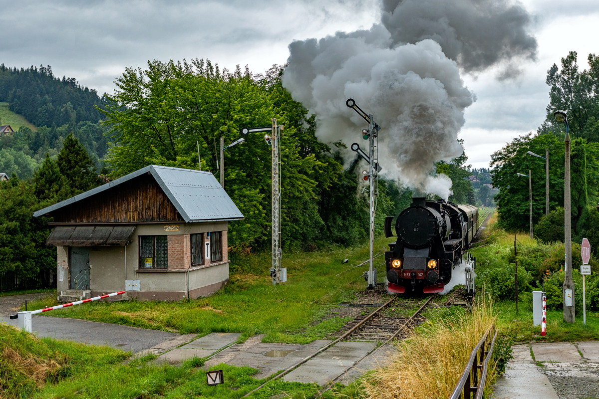 Ty42-107: Rabka Zaryte 