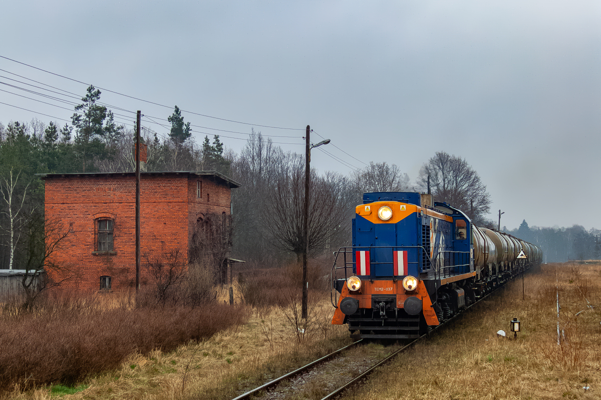 TEM2-037: Brzostów Wielkopolski