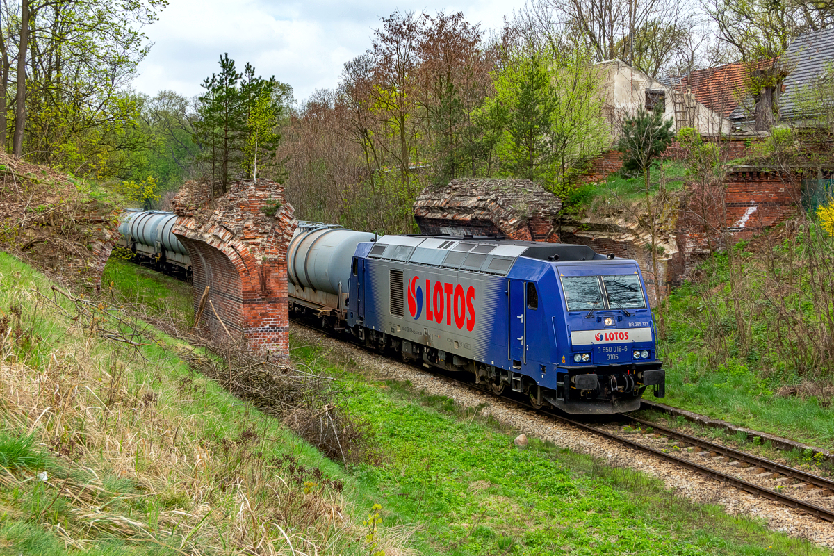 BR285-123: Laski Odrzańskie