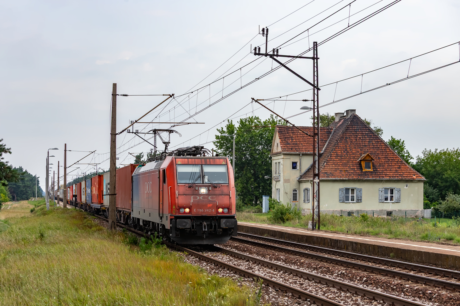 E186-242: Warząchewka