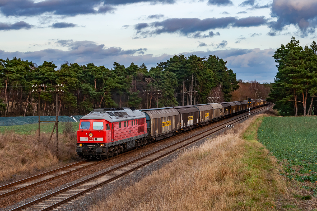 BR233 441: Alt Rosenthal - Trebnitz