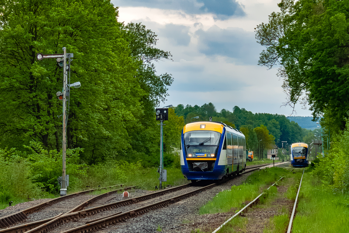 VT642: Krzewina Zgorzelecka