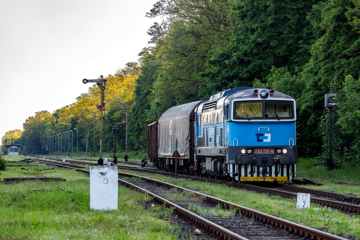 753 757: Głuchołazy