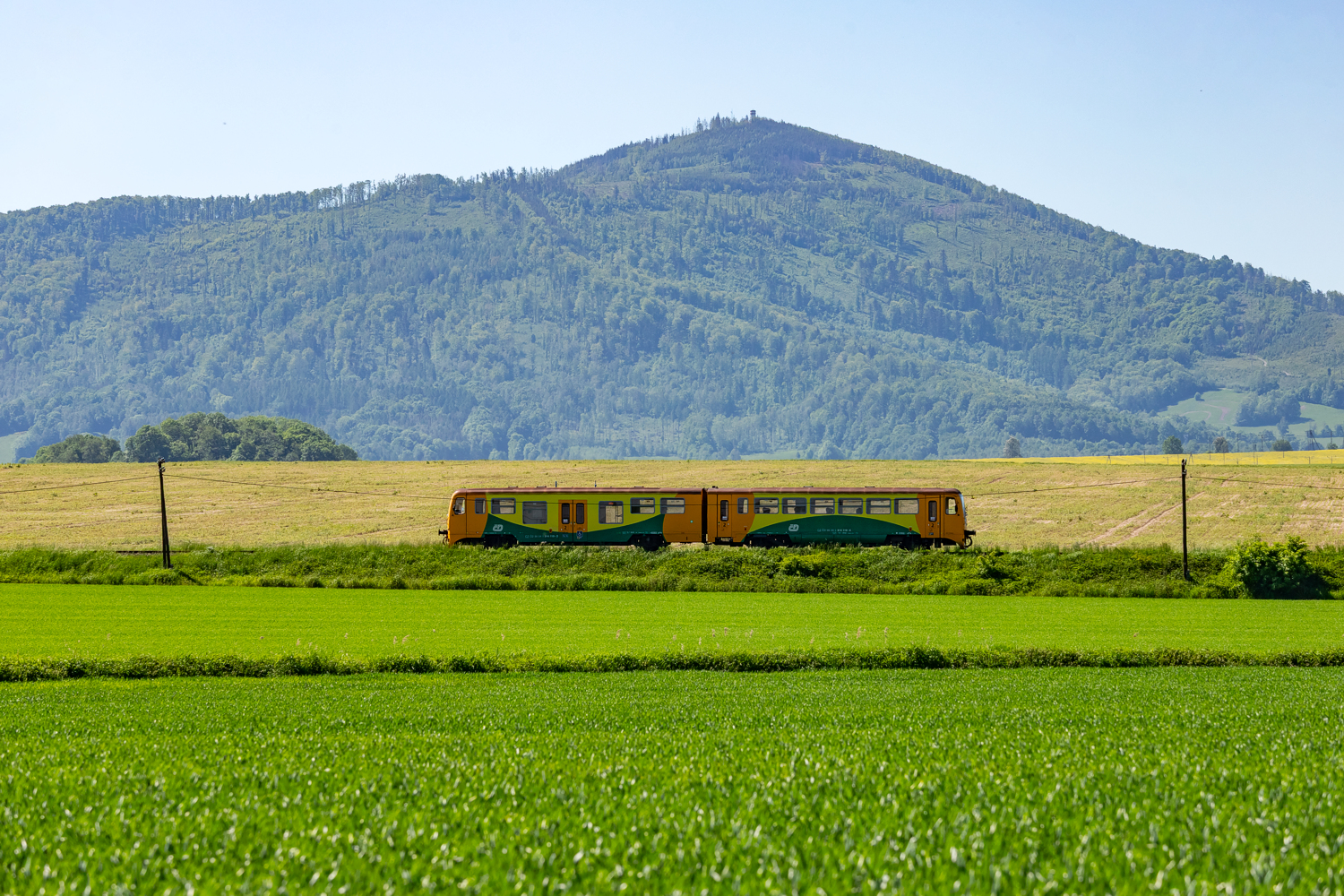 814 119: Głuchołazy - Jindřichov ve Slezsku
