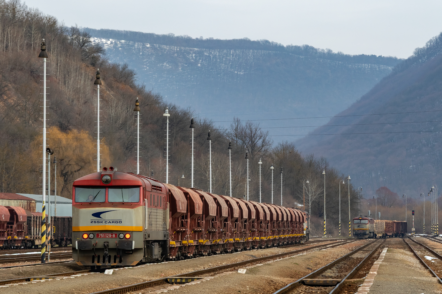 751 129: Plešivec