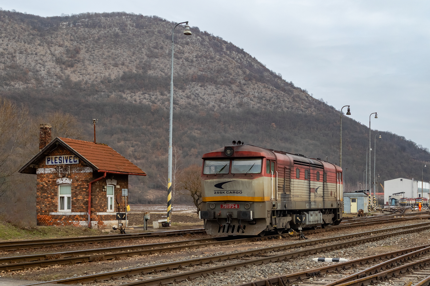 751 173: Plešivec