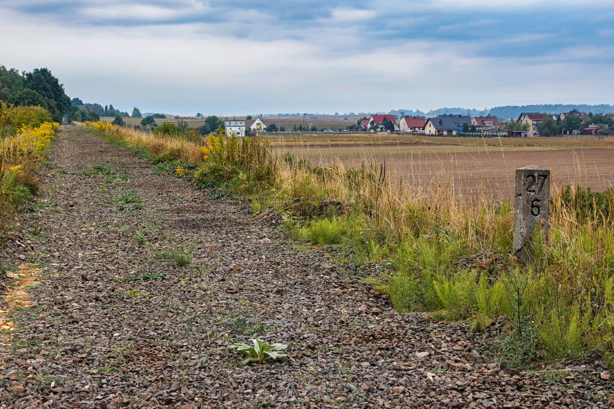 Strzelce Opolskie - Brzezina