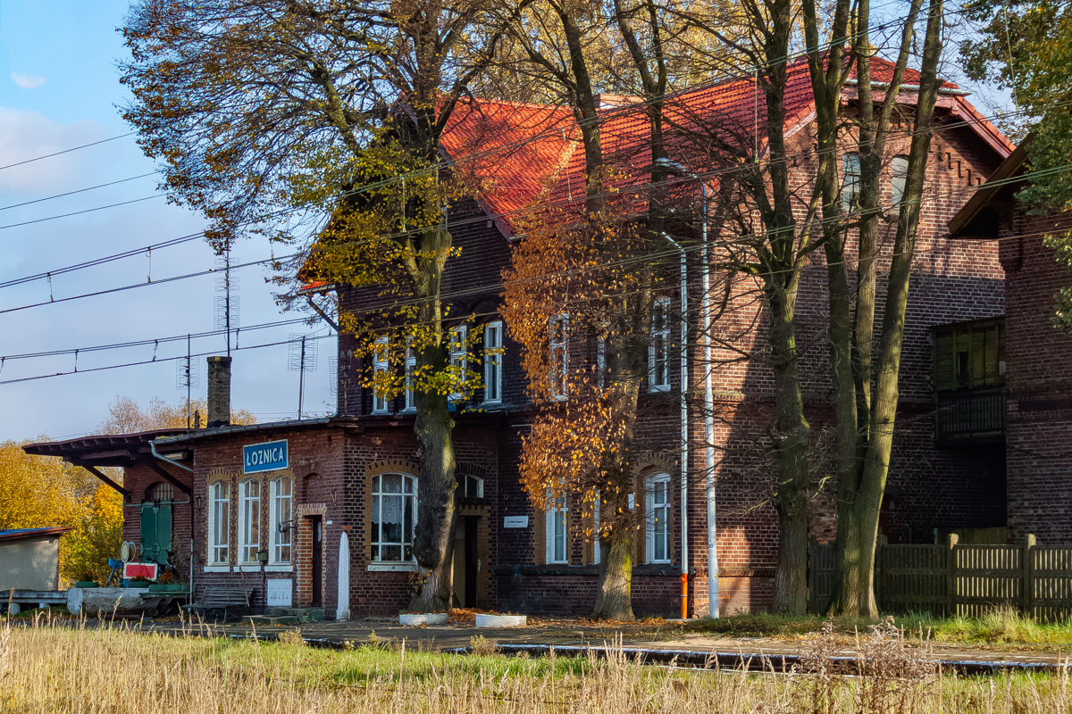 Łożnica
