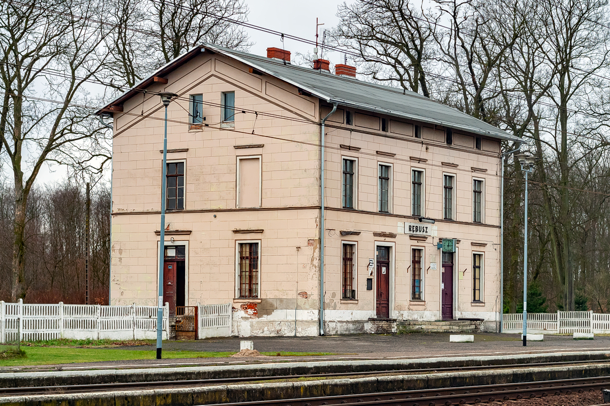 Rębusz