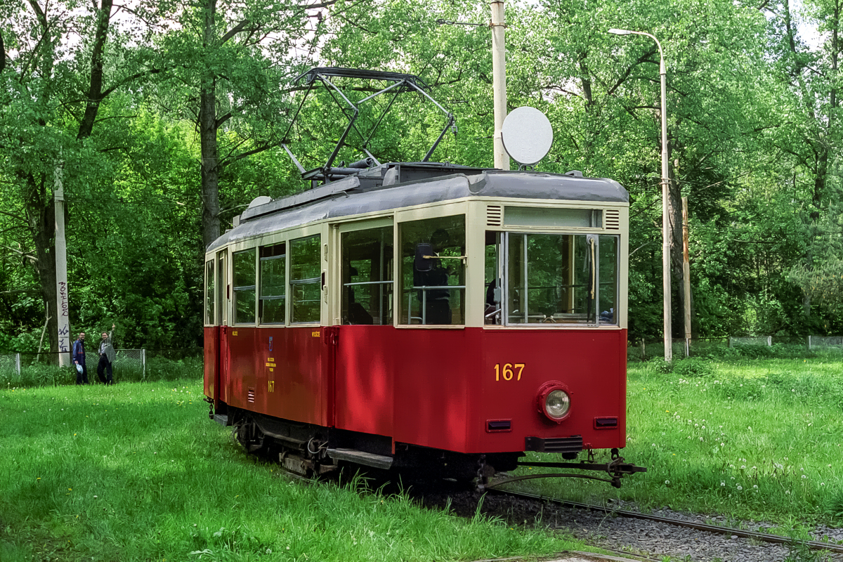 N #167: Szczecin, Las Arkoński