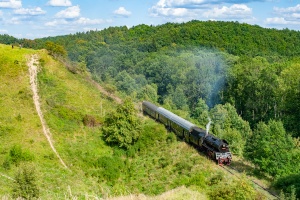 Ol49-59: Czarnków - Bzowo Goraj