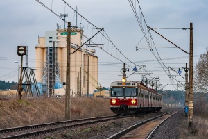 ED72-018: Lisie Pole - Chojna