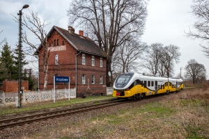 SA139-011: Krzyżowa SA139-011: Krzyżowa