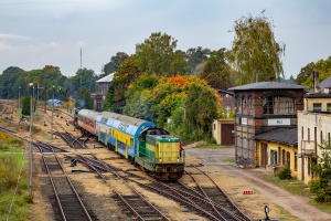 SP32-204: Międzychód