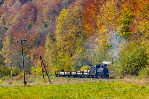 Kp4-3772: Solinka - Żubracze