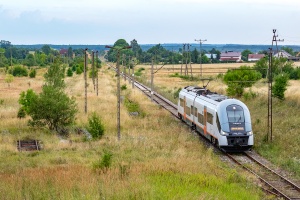 EN96-003: Stawiany Pińczowskie