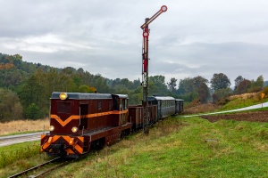 Lxd2-268: Jawornik Polski