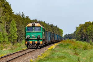 ST44-282: Orzeszkowo - Witowo