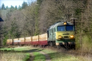 ST44-878: Poddubówek