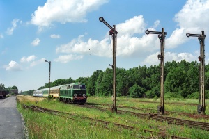 SU45-017: Chruściel