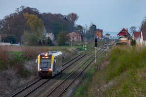 SA103-004: Głogówek SA103-004: Głogówek