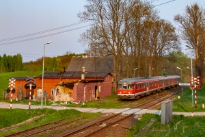 SA110-10+04+09: Wiewiecko